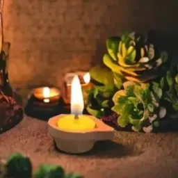 naagvanshi Desi Cow Ghee Diya Wicks for Diwali Puja and Hawan Cotton Wick image 4