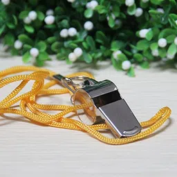 Stainless Steel Metal Whistle Party Referee Sports School Football Rugby Dog Training With Yellow Strap and a Box Best Xmas Gift image 3