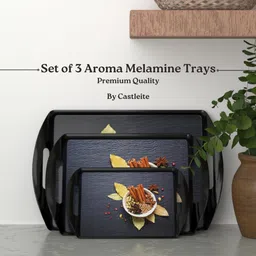 castleite Aroma Spicy Destin Melamin Serving Medley with Handles for Home or Cafe, Tray image 2