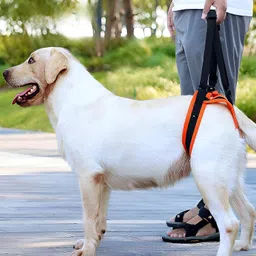 expert fox SeniorStep Dog Rear Support Dog & Cat Assistance Harness-picture-19