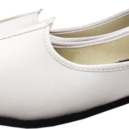 axolotl Men Ethnic Mojaris for Men Slip On For Men-picture-26