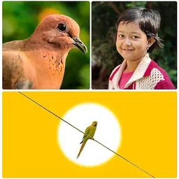 ADCOM 8X Telephoto Zoom Camera Lens - Compatible with All iPhone & Android Smartphones Mobile Phone Lens image 5