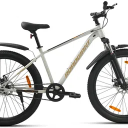 roadgiant SQUAD BG-24- DULL WHITE-SINGLE SPEED-STEEL 24 T (inch) Mountain Cycle-picture-44