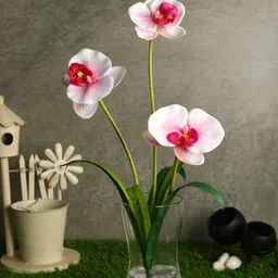 casacraft from pepperfry Pink Polyester Stunning Light Orchid Flower Artificial Flowers image 1