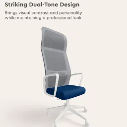 godrej interio Vurv Mesh Ergonomic Chair in Royal Blue Finish image 3
