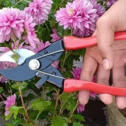 agt Major Pruner, Big Trowel, Khurpi Garden Tool Kit image 3