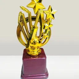 afiya international Cricket Batsman Trophy Trophy-picture-12