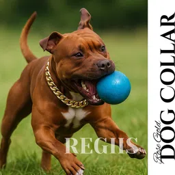 regiis Luxe Chain Collar with Improved Lock, Never Fades (Medium) Dog Choke Chain Collar image 2