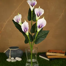 casacraft from pepperfry Purple Polyurethane Real Touch Artificial Callalily Flower image 1