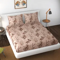 florida Brown Floral 144 TC Polyester King Fitted Bedsheet 2 Pillow Covers image 1