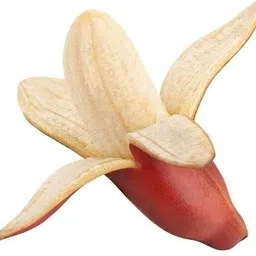 rudraecom Banana Plant image 3