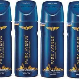 park avenue GOOD MORNING DEODORANT COMBO Deodorant Spray-For Men image 1