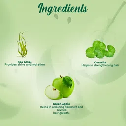 Biotique Green Apple Shine and Gloss Shampoo & Conditioner for Oily Hair 650 ml image 2