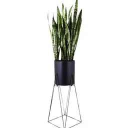 stand master Black Metal Plant Stand (1 Pc) image 2