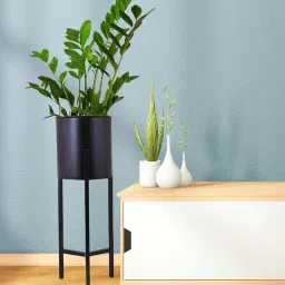 stand master Black Metal Plant Stand (1 Pc) image 1