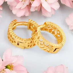 SHREE KRISHNA SHOPPING Gold-Plated Brass Earrings-picture-0