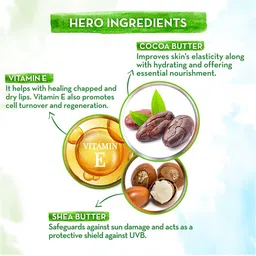 Mamaearth Set of 2 Natural Lip Balm 2 g each - Beetroot & Coco Tinted image 2