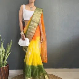 DIVASTRI Ombre Zari Organza Kanjeevaram Saree image 2
