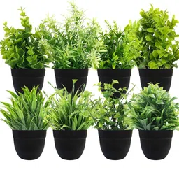 Dekorly Black Plastic Fern Artificial Flowers & Plants With Pot-picture-29