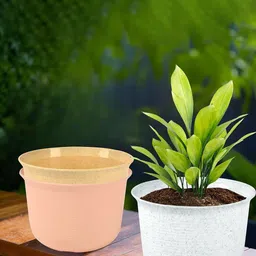 Kuber Industries 3Pcs White & Beige Textured Planters With Plate-picture-40