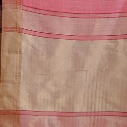 Astita Organza Saree image 4