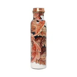 INTERNATIONAL GIFT Multicoloured Single Copper Printed Water Bottle-picture-29