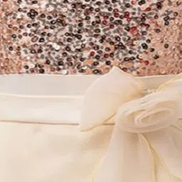 Wow Princess Net A-Line Dress image 2