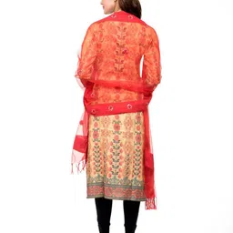 A R SILK DUPATTA HUB Embroidered Organza Dupatta with Thread Work image 3