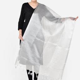 Dupatta Bazaar Silver-Toned Solid Dupatta-picture-29