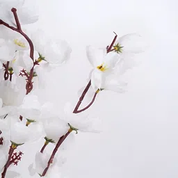 Eikaebana Flower Shop Off White 2 Pieces Lotus Artificial Flowers With Pot image 3