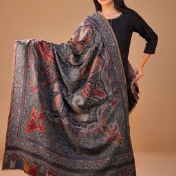 SWI Stylish Women Ethnic Motifs Woven Design Shawl-picture-40