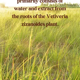 ATVI.FIT Vetiver Water Toner - 100 ml image 5