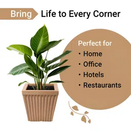 RUBOXA 6Pcs Brown Textured UV Protected Planters image 2