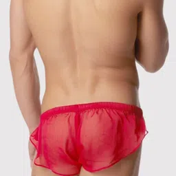 AAYAN BABY Sheer Mesh Low-Rise Brief image 3