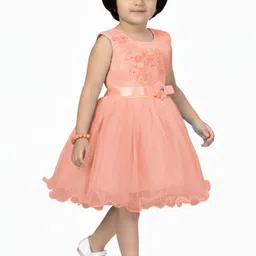 Aarika Net Fit & Flare Dress image 2