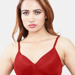 Sonari Women Pack Of 2 Grey & Red Lightly Padded T-Shirt Bra image 3