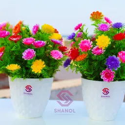 :) Shanol :) Artificial multicolor flowers with white heavy plastic pot. Decoration plants, home, office, garden, windows decoration flowers. (Length 18 cm, multicolor, pack of 2) it's timeless beauty...:) Multicolor Wild Flower Artificial Flower with Pot-picture-34