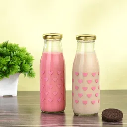 1ST TIME 3 Transparent Glass Solid Water Bottle image 2