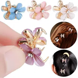 HANDBAG COLLECTION Women Set of 4 Claw Clip image 4