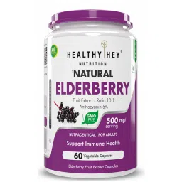 HealthyHey Nutrition Natural Elderberry Fruit Extract, 500 mg, 60 vegetable capsules-image-58