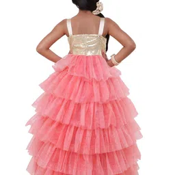 Wish little Net A-Line Maxi Dress image 5