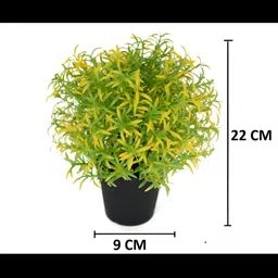 paperi Yellow 2 Pieces Rosmarinus Artificial Plant With Pot image 3