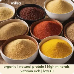 Svasthyaa Organics Dry Fruit Jowar Laddoo | Gourmet Edition - 240g image 5