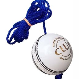 HackerX Leather Hanging CricketBall-picture-20