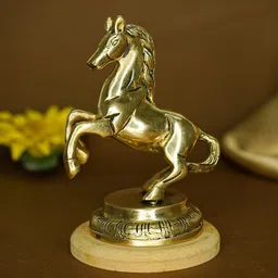 Ekhasa Gold-Toned Brass Horse Showing For Home Decor Figurine Showpiece-image-56