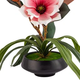 AARVI DECOR STUDIO Magnolia & Green Artificial Flower With Pot image 3