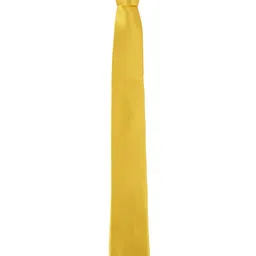Alvaro Castagnino Men Yellow Skinny Tie image 4