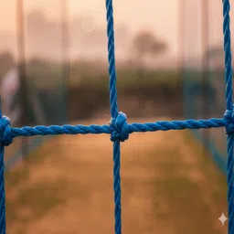 pratyagra09net Durable 10*10 Ft Cricket Practice Net – Safe, Easy to Install, Home & Ground Use Cricket Net image 5