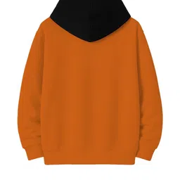 Fasha Kids-Unisex Multi Printed BLENDED Sweatshirts image 4