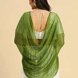 Dupatta Bazaar Striped Sequinned Chiffon Dupatta image 4